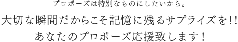 プロポーズは特別なものにしたいから。大切な瞬間だからこそ記憶に残るサプライズを！！あなたのプロポーズ応援いたします！